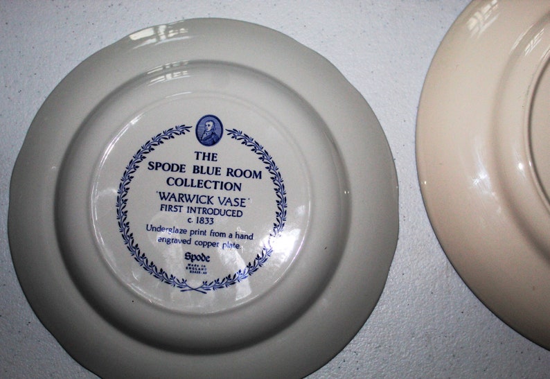 Spode Blue Room Collection Warwick Vase Plate & Jasmine Pasta Etsy