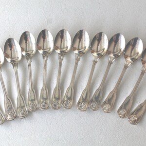 May include: A collection of eleven silver spoons arranged on a white surface. Each spoon has an oval bowl and a decorative handle with a floral design. The spoons are reflective, showing the surrounding environment.