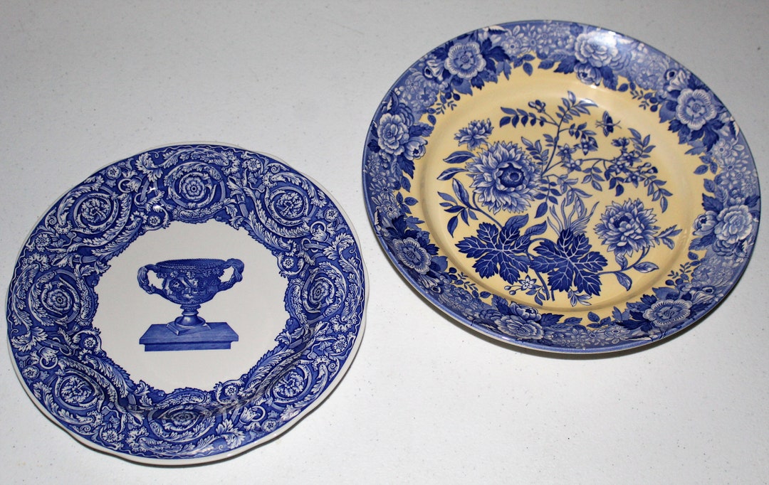Spode Blue Room Collection Warwick Vase Plate & Jasmine Pasta Serving