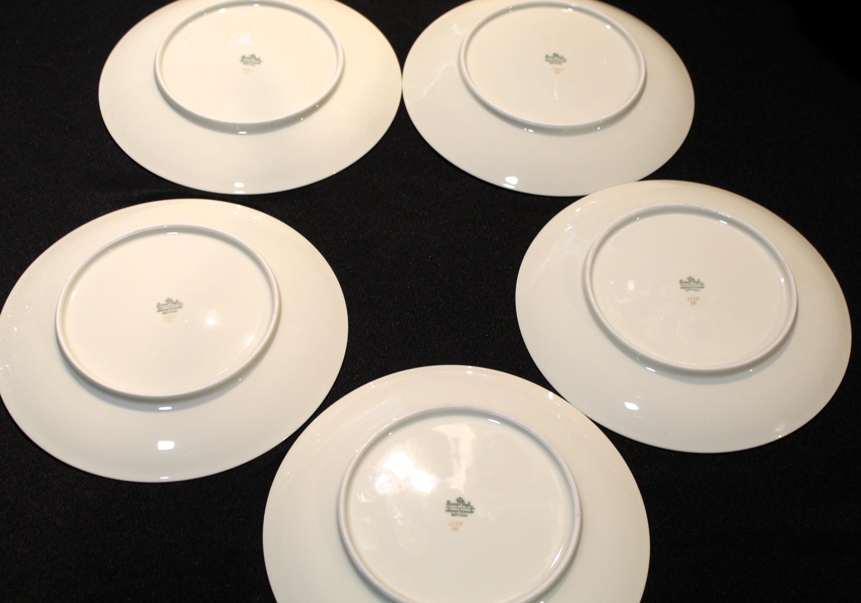 Rosenthal Summer Blossoms Ivory Set Of Five Dinner Plates