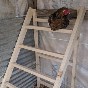 Chicken Roosting Bar, choose the right size for your flock | Freestanding or Wall-Mounted Roost  | 50” Tall | Solid Wood Coop Ladder Roost