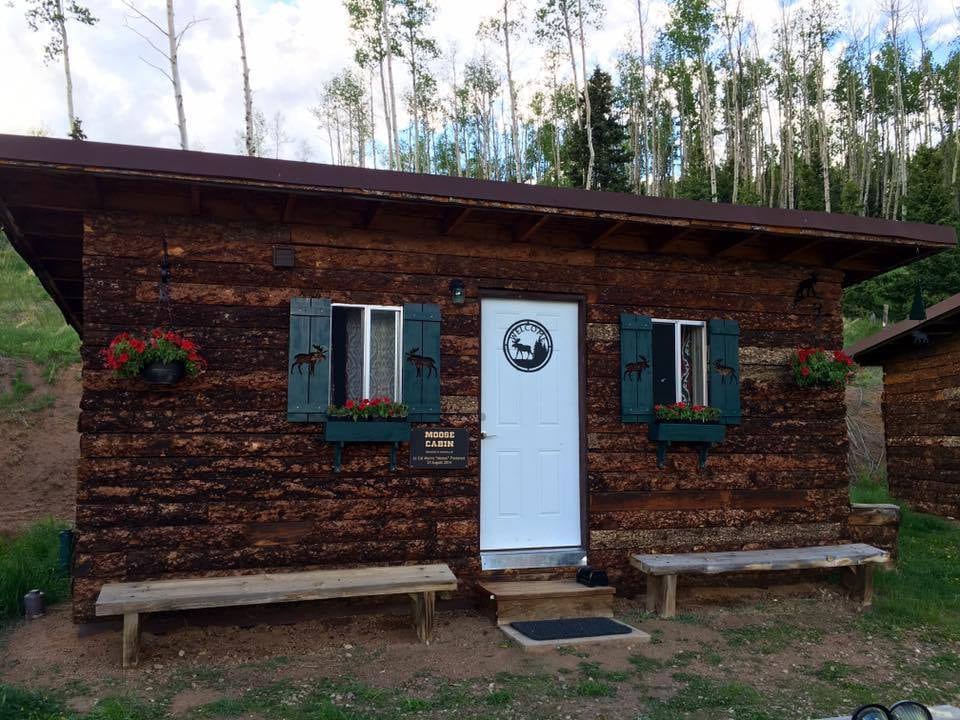 Custom Listing for Pam L Exterior Moose Shutter made of