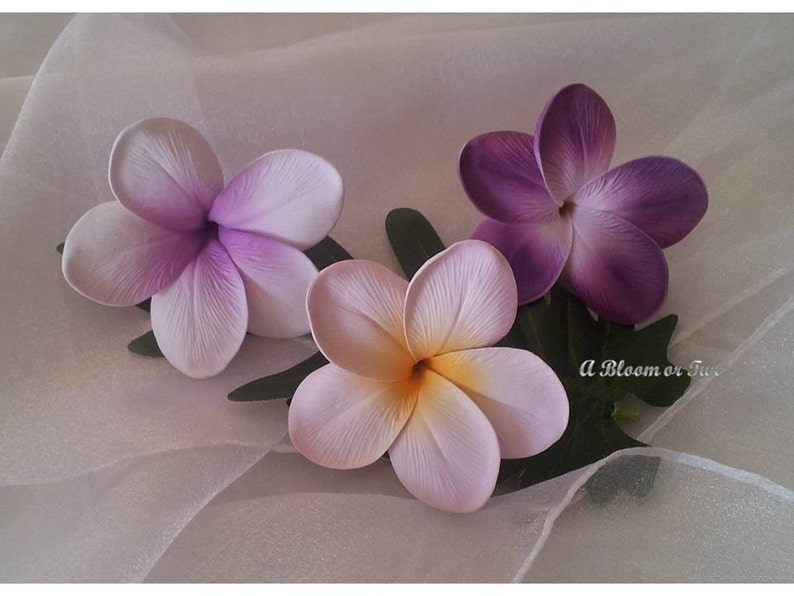 Plumeria Frangipani Hair Clip Pin Real Touch Destination Etsy