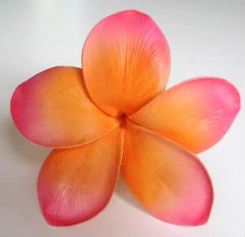 Plumeria Frangipani Hair Clip Pin Real Touch Destination Etsy