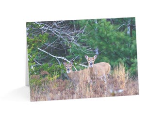 Cartões de felicitações de Natal com envelopes para veados de cauda branca