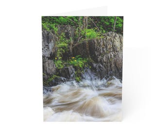 Primavera no Rio Menominee - Cartões de Saudação (1, 10, 30 e 50 unidades)