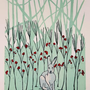 Riparian Highbush Patch