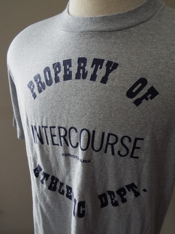 Vintage Intercourse PA T Shirt by Screen Stars - image 2