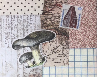 original collage art "Mushroom Lore"