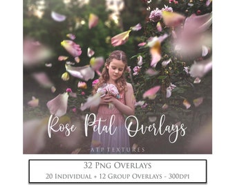 35 Png Overlays, Rose Petal, 6 Colour Changing Photoshop ACTIONS, High Res, Red Rose, Photoshop Overlay, Digital Photography, Clipart