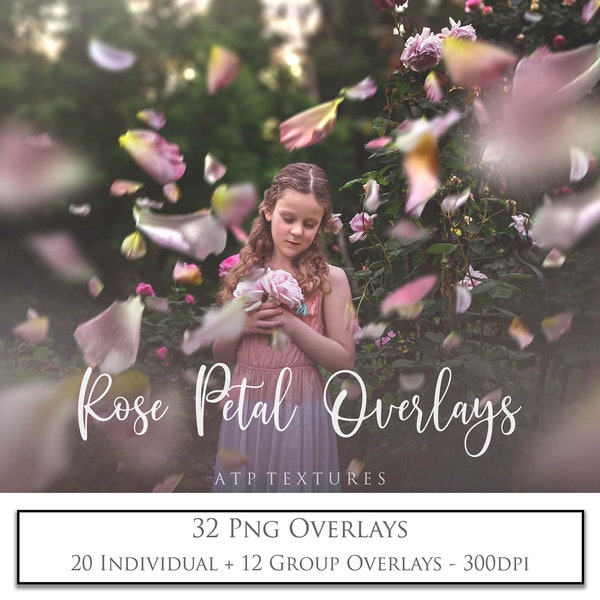 35 Png Overlays, Rose Petal, 6 Colour Changing Photoshop ACTIONS, High Res, Red Rose, Photoshop Overlay, Digital Photography, Clipart