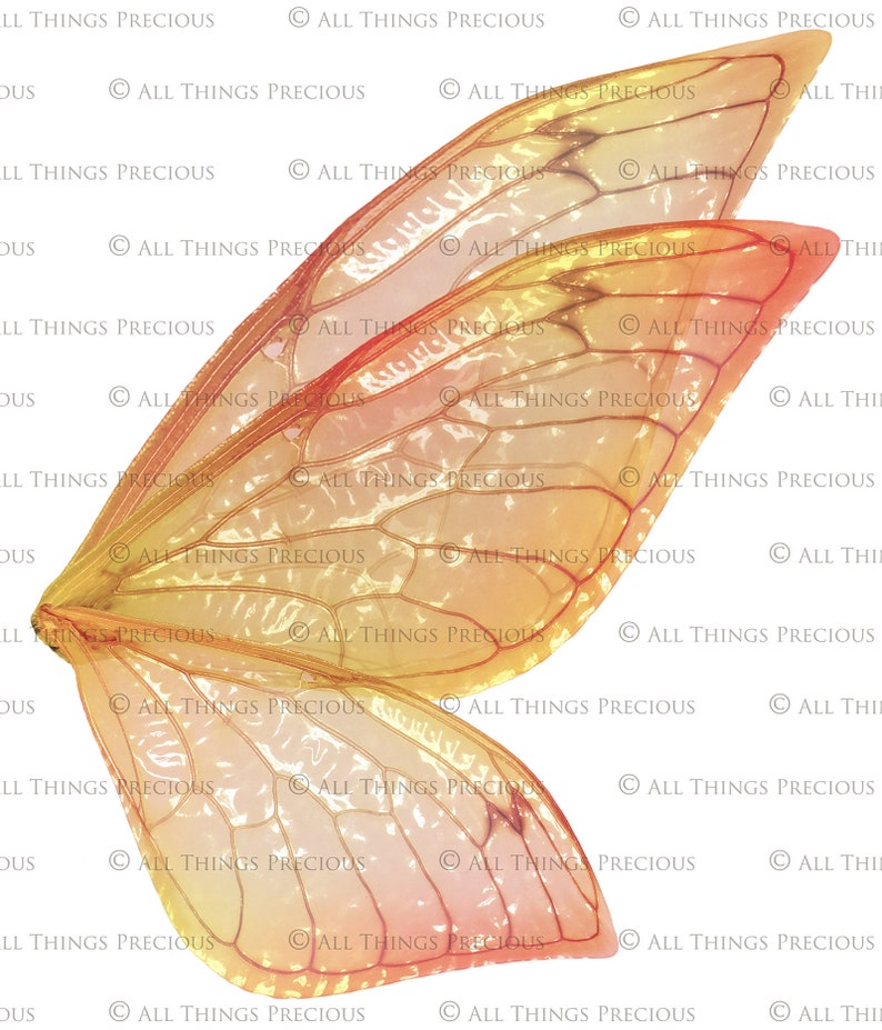 PRINTABLE FAIRY WINGS Set 2 Print Pattern Template Clipart - Etsy