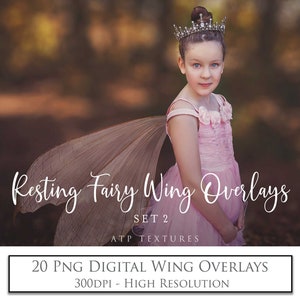 20 DIGITAL OVERLAYS PNG Fairy Wings Set 2  Resting - Transparent, Photography,  Fine Art Background, Png Clipart, Photoshop, Faery