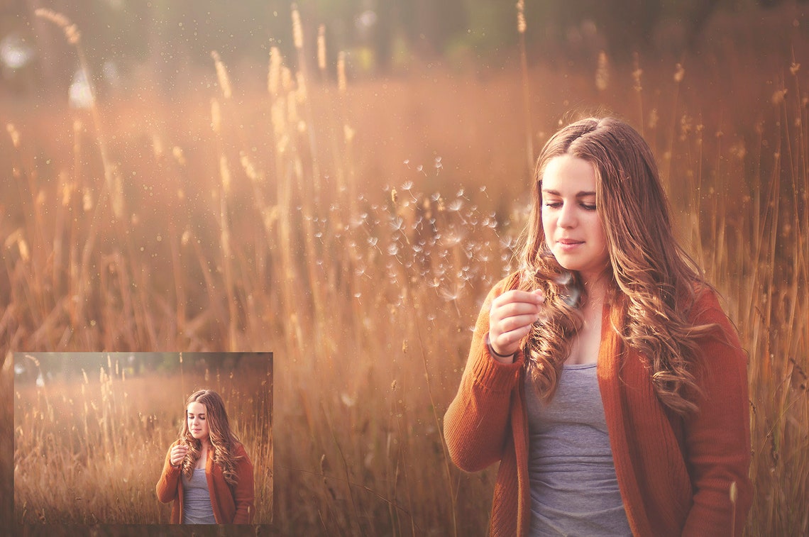 18 DANDELION Wishes OVERLAYS and 3 high res Photoshop BRUSHES image 4