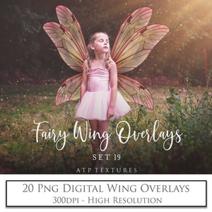 Fairy wing overlays for your Fantasy Edits. Digital Png clipart overlays. Transparent Fairy Wings in delicate colours. Photography, photoshop editing, Child photo art. Fine Art High resolution digital download. 300dpi. Digital Assets. Graphic Design.