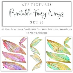 PRINTABLE FAIRY WINGS Set 30 - Cosplay, Costume, Clipart Png, Print, Fairy Wing, Digital Scrapbooking, Photoshop Overlay, Art Doll