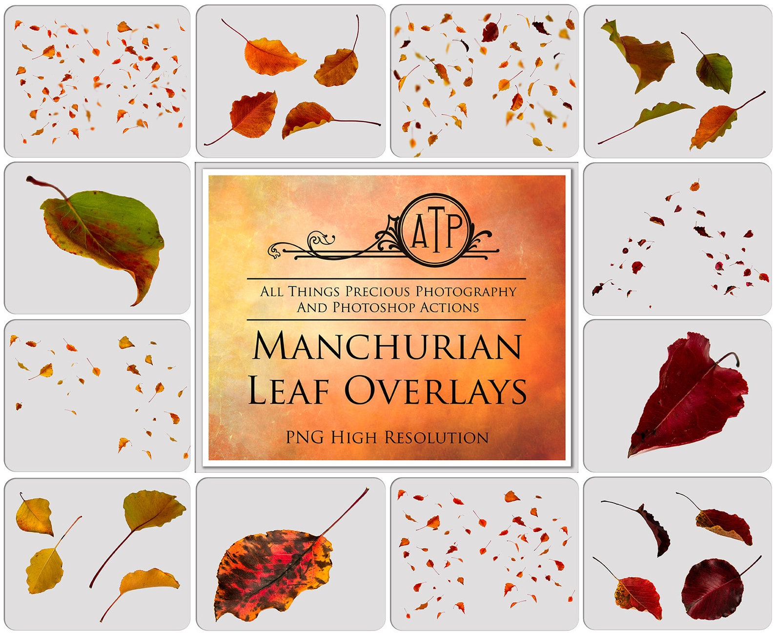 85 Leaf OVERLAYS PNG Fall Overlay Leaves Digital | Etsy