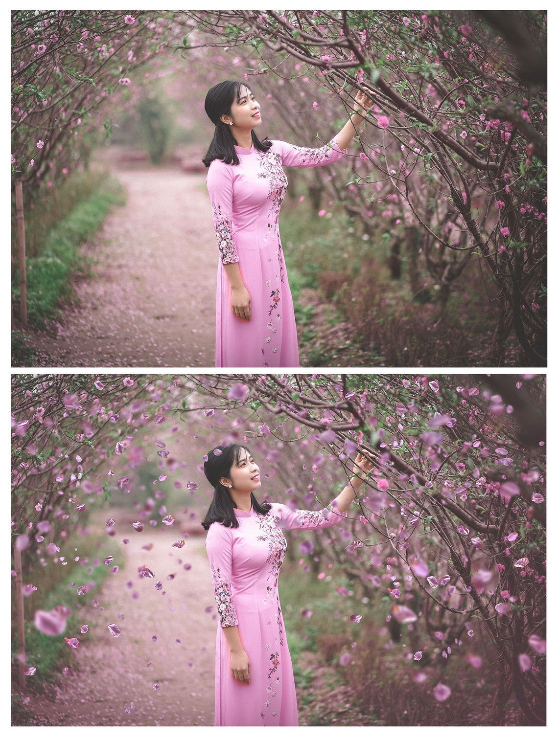 40 SPRING BLOSSOM Overlays / Photoshop Overlays Falling image 9