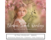 Photo Overlays, PNG Blossom Flower Branches, Crowns and Peek Throughs for Photographers and Digital Editing. ATP Textures. AI Art