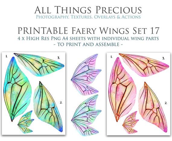 PRINTABLE FAIRY WINGS Set 17 - Fairy Costume, Fairy Wing, Fine Art ...