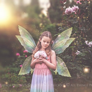 Digital Overlays for Photographers. Fairy Wings. Fairy Wing Overlays. High resolution, fine art digital assets for creating fantasy art.  Png overlay with transparent background. See through real wings for an authentic effect. Bundle. Pixie Wings.
