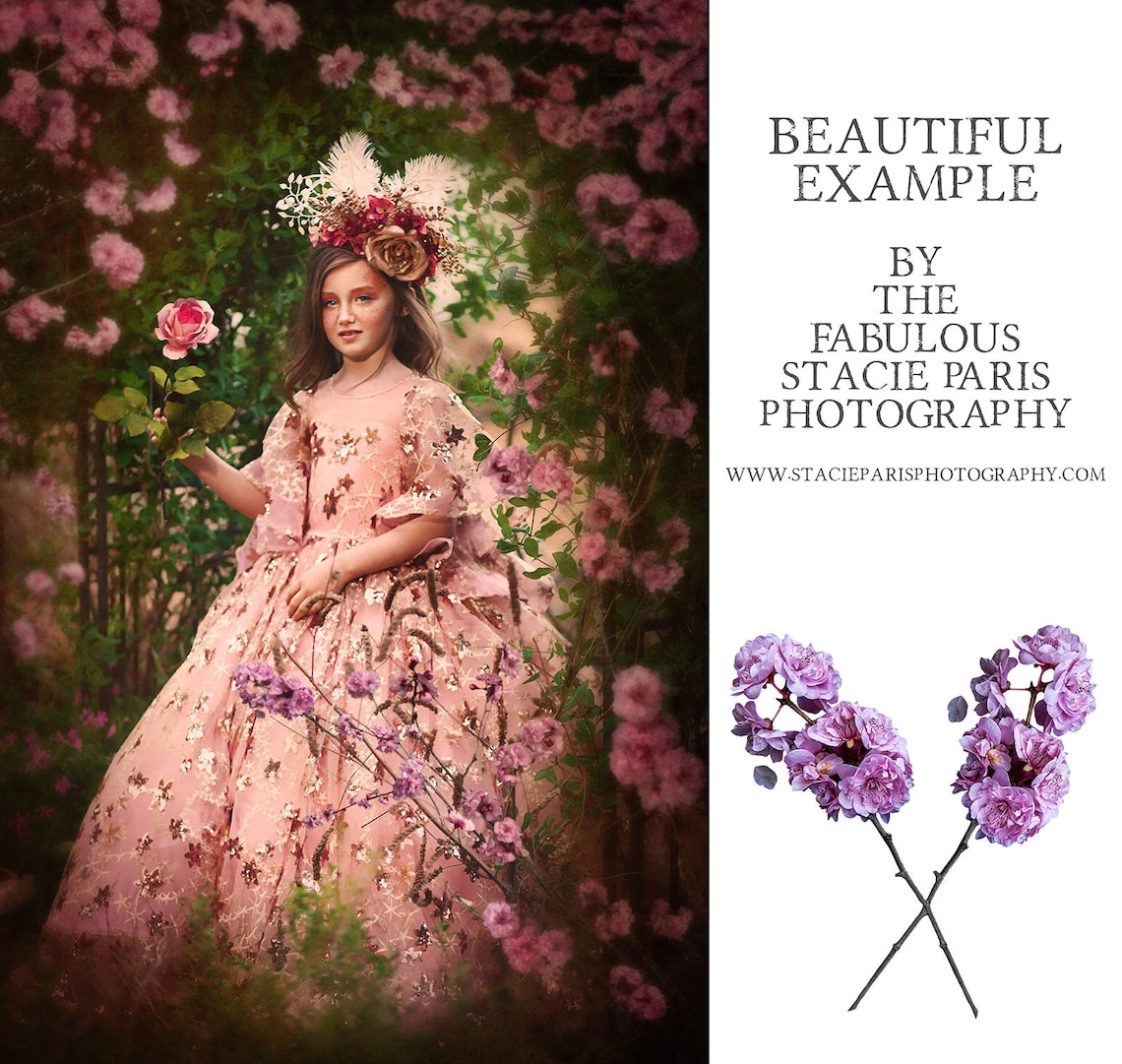 40 SPRING BLOSSOM Overlays / Photoshop Overlays Falling image 5