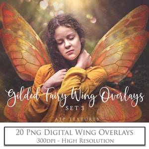20 Digital Overlays - Transparent Fairy WINGS- Gilded and Coloured Set 3 / Wing Clipart, Photoshop Overlays, Photography, Photo Art