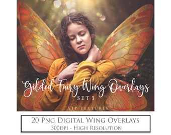20 Digital Overlays - Transparent Fairy WINGS- Gilded and Coloured Set 3 / Wing Clipart, Photoshop Overlays, Photography, Photo Art