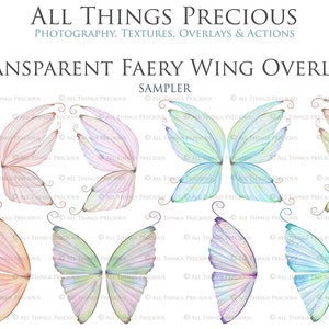 Digital Overlays for Photographers. Fairy Wings. Fairy Wing Overlays. High resolution, fine art digital assets for creating fantasy art. Magical transparent Png Overlay. See through real wings for authentic effects. Bundle. Real Butterfly Colourful.