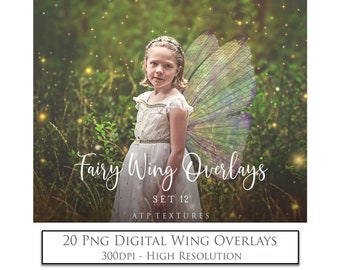 OVERLAYS - 20 Png FAIRY WINGS Set 12 / Fairies Wing, High Resolution, Digital Photography, Photoshop Overlay, Photo Clipart