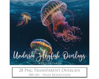 Png OVERLAYS, Under Sea JELLYFISH. Photo Overlay, High Resolution, Digital Photography, Mermaid Art, Jelly Fish, Photoshop, Clipart