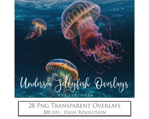 Png OVERLAYS, Under Sea JELLYFISH. Photo Overlay, High Resolution, Digital Photography, Mermaid Art, Jelly Fish, Photoshop, Ai Clipart