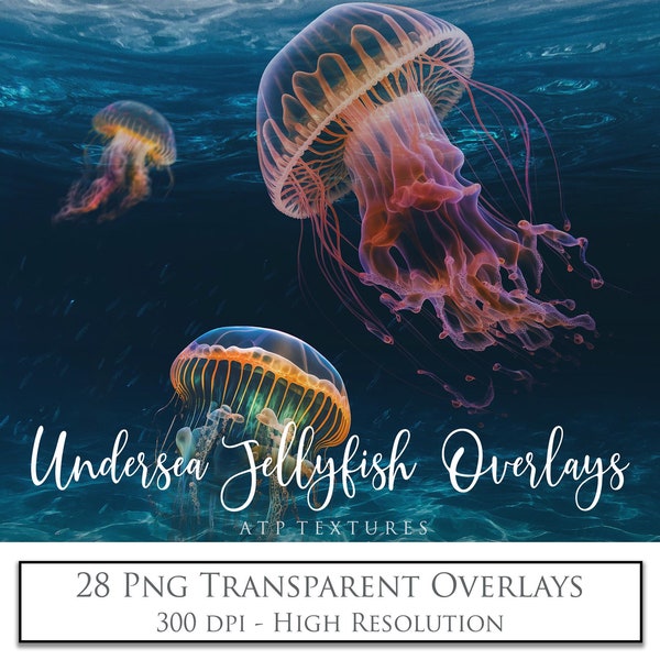 Png OVERLAYS, Under Sea JELLYFISH. Photo Overlay, High Resolution, Digital Photography, Mermaid Art, Jelly Fish, Photoshop, Clipart