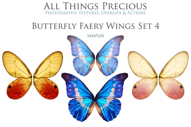 Overlays Png Butterfly Fairy Wings Set 4 Digital Wing Etsy