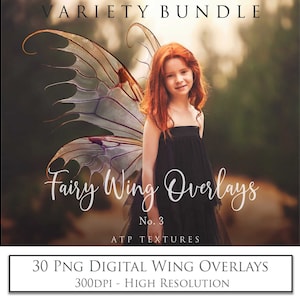 Overlays Bundle, Digital Fairy Wings, No. 3, Photoshop Overlay, High Res, Fine Art Photography, Magic, Fairies Wing, Png Clipart