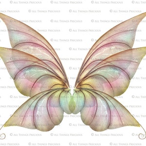 Digital Overlays for Photographers. Fairy Wings. Fairy Wing Overlays. High resolution, fine art digital assets for creating fantasy art. Magical transparent Png Overlay. See through real wings for authentic effects. Bundle. Real Butterfly Colourful.