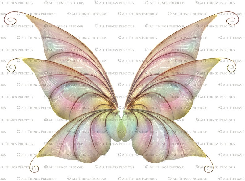 Digital Overlays for Photographers. Fairy Wings. Fairy Wing Overlays. High resolution, fine art digital assets for creating fantasy art. Magical transparent Png Overlay. See through real wings for authentic effects. Bundle. Real Butterfly Colourful.