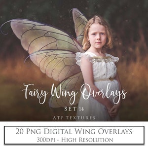 20 Png OVERLAYS FAIRY WINGS Set 14 / Clipart Wing, High Resolution, Photoshop Overlay, Fantasy, Digital Download, Photo Editing