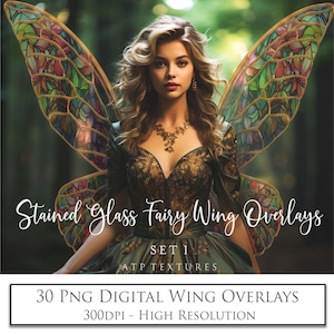 Digitale OVERLAYS - 30 Png FEE WINGS Stained Glass - Set 1 / Clipart, hohe Auflösung, Fotografie Overlay, Photoshop Bearbeitung, Fantasy Art