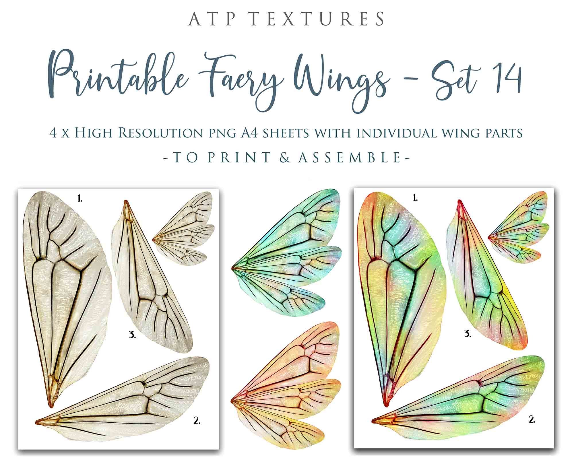 Template For Fairy Wings Template For Fairy Wings