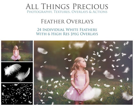 30 FEATHER Overlays / Photography, Falling Feathers, Photoshop Overlay, Digital Background, Angel Feathers, Fine Art, High Resolution Il_570xn