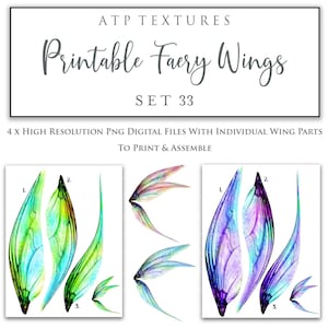 PRINTABLE FAIRY WINGS Set 33 - Transparent Overlays, Fairy Wing, Fine Art, High Resolution, Cosplay, Photoshop, Art Doll Wings, Child Wings