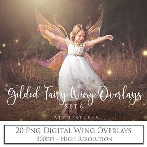 20 FAIRY WING OVERLAYS - Gilded and Coloured Set 6 / Digital Wing, Png Clipart, Photoshop Overlay, Photography Editing