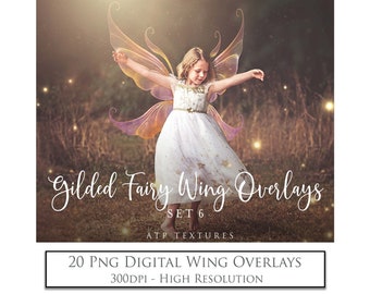 May include: A set of 20 digital fairy wing overlays in PNG format. The wings are translucent and have a golden shimmer. The overlays are high resolution and 300 DPI.  The text "Gilded Fairy Wing Overlays Set 6 ATP Textures" is at the bottom of the image.