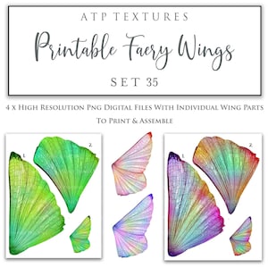 AFDRUKBARE FAIRY WINGS Set 35 - Cosplay, sprookjeskostuum, sprookjesvleugel, afdrukken, sjabloon, elfenvleugels, Photoshop-overlay, kunst poppenvleugels, maken