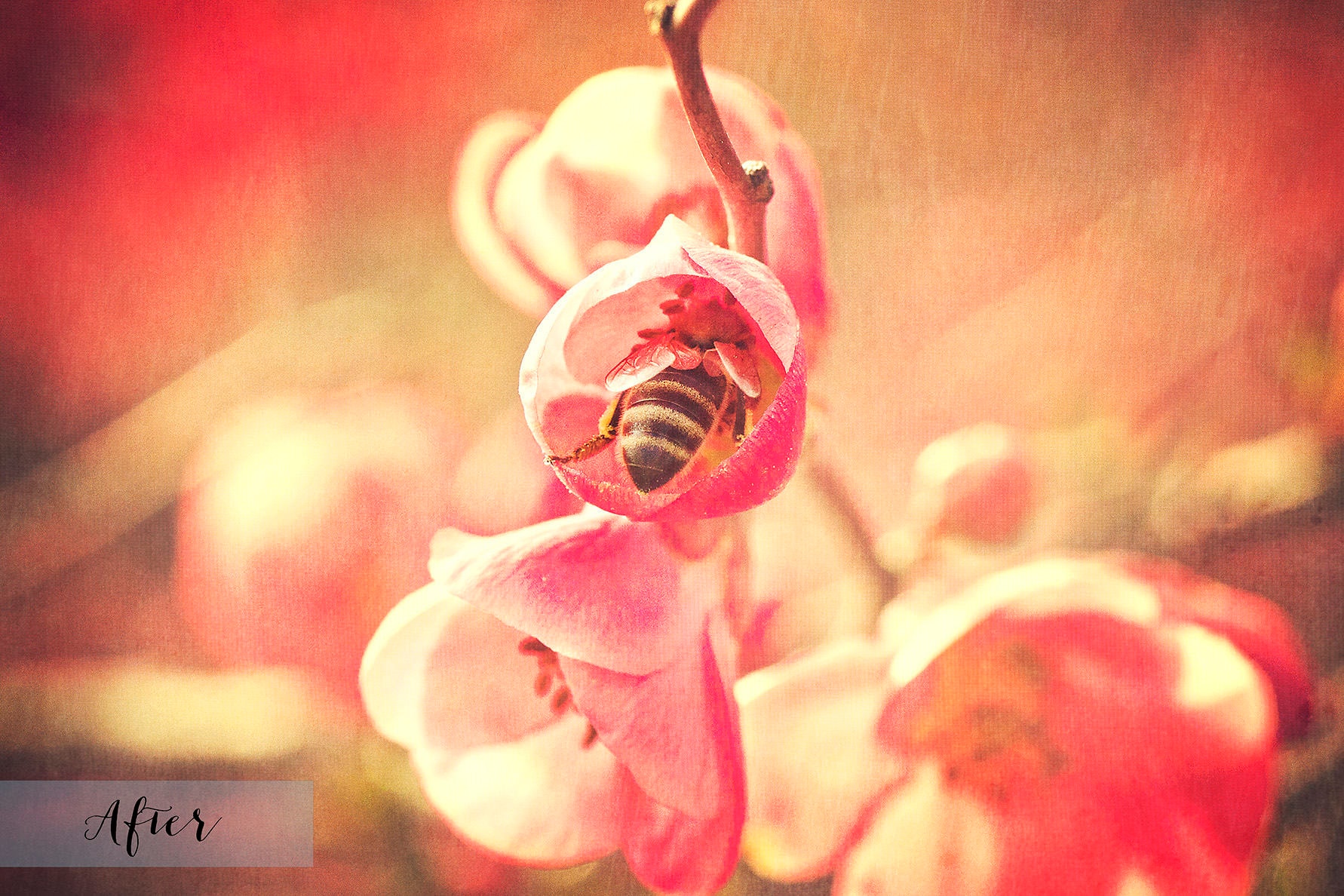 10 Fine Art TEXTURES CANVAS Set 1 / Photography Textures Etsy