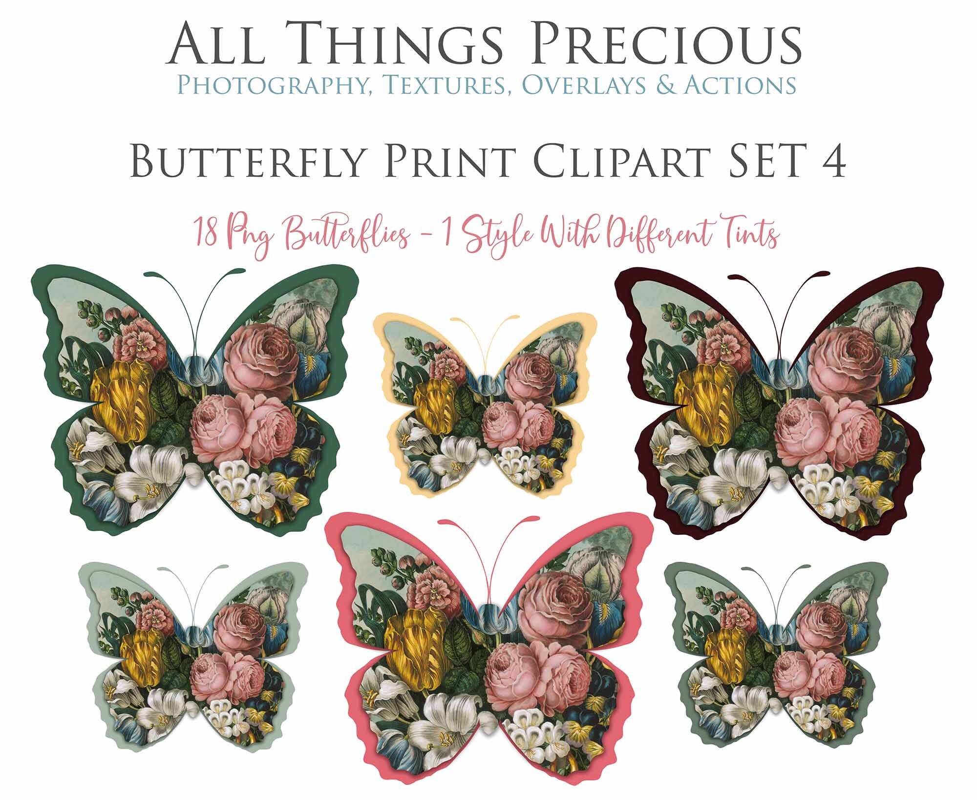 Vintage Floral BUTTERFLY CLIPART PNG Set 4 Butterflies Card Making Wall Print Digital Scrapbooking Scrapbook Old Masters Flowers