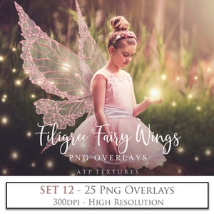 25 Png Overlays, FILIGREE FAERY WINGS, Set 12 / Photo Overlay, Digital, Fairy Wing, Clipart, Digital Scrapbooking, Fantasy Art, Photoshop