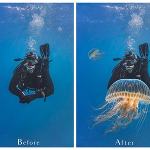 xJellyfish overlays for your Fantasy Edits. Digital Png clipart overlays. Photography, photoshop editing, Child photo art. Fine Art High resolution digital download. 300dpi. Digital Assets. Graphic Design. Ocean Background.  Underwater Scene