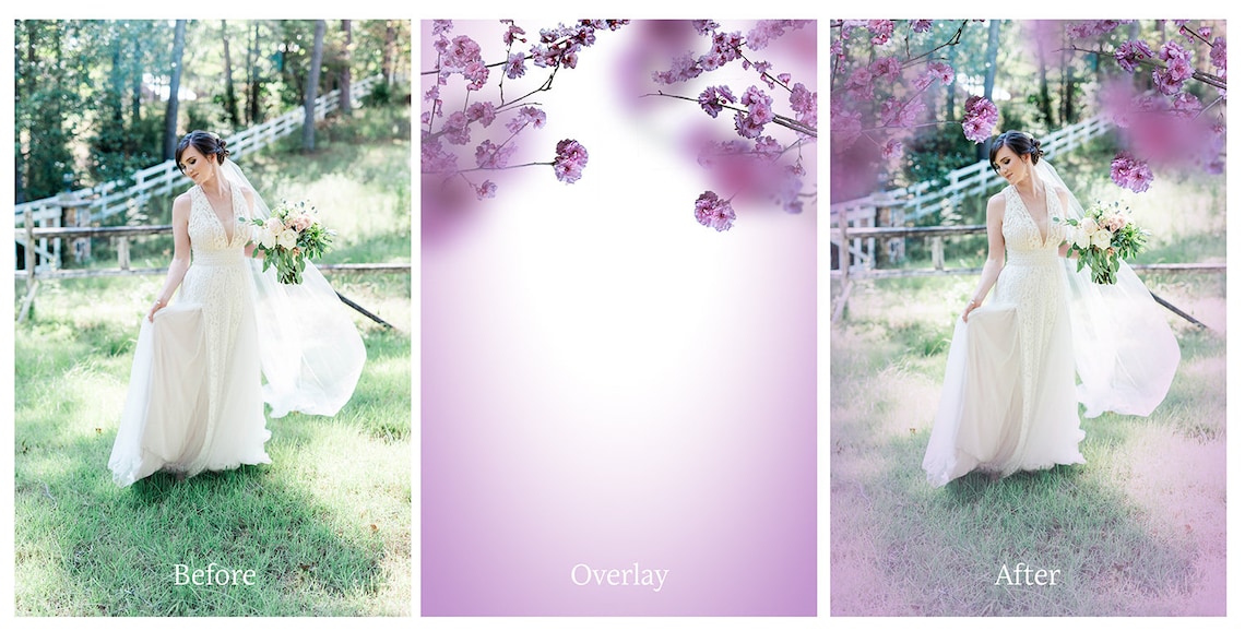 40 SPRING BLOSSOM Overlays / Photoshop Overlays Falling image 6